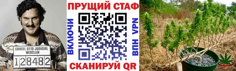 Канабис Октябрьск