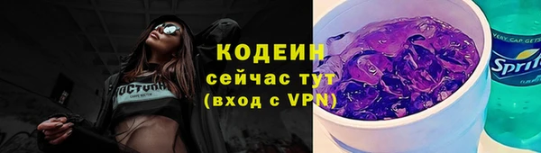 индика Касимов